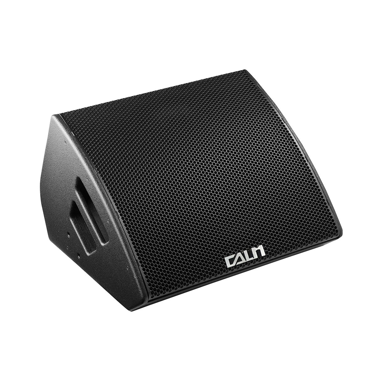 15寸同轴点声源音箱 M4
